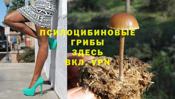 крисы Бронницы