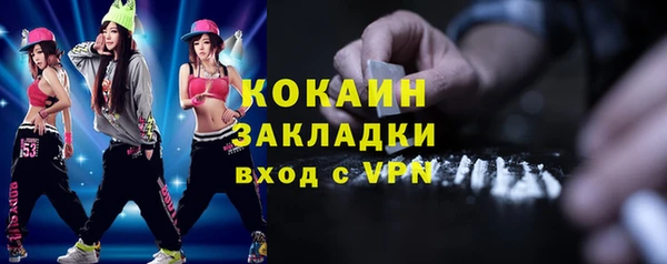 крисы Бронницы