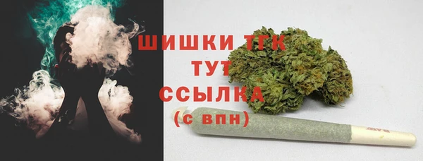 ПСИЛОЦИБИНОВЫЕ ГРИБЫ Бородино