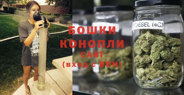 ПСИЛОЦИБИНОВЫЕ ГРИБЫ Бородино