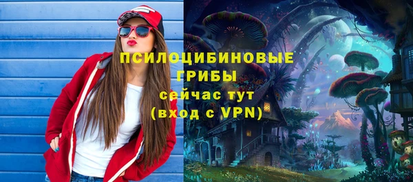 mdpv Бугульма