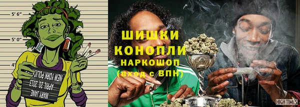 ПСИЛОЦИБИНОВЫЕ ГРИБЫ Бородино