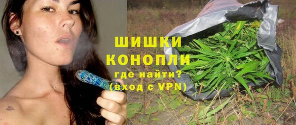 ПСИЛОЦИБИНОВЫЕ ГРИБЫ Бородино