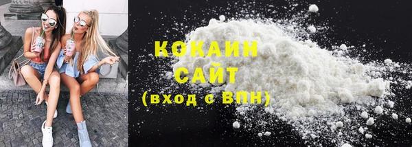 крисы Бронницы
