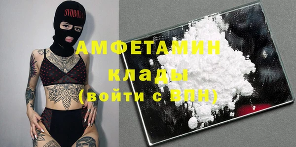 ПСИЛОЦИБИНОВЫЕ ГРИБЫ Бородино