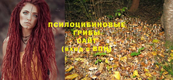 ПСИЛОЦИБИНОВЫЕ ГРИБЫ Бородино