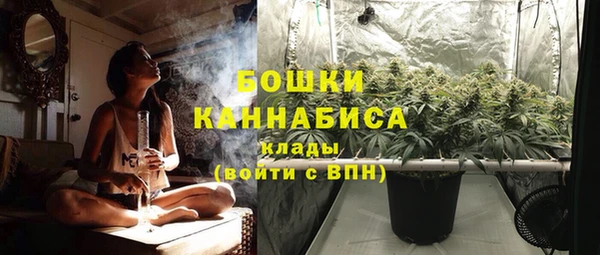 крисы Бронницы