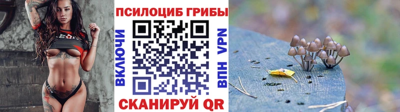 KRAKEN как войти  закладки  Жуковский  Псилоцибиновые грибы MAGIC MUSHROOMS 
